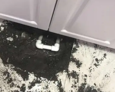 金华市查漏水哪家好